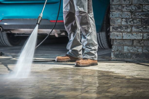 Best Winterizing Services  in High Springs, FL